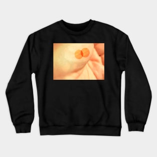 Collision Crewneck Sweatshirt